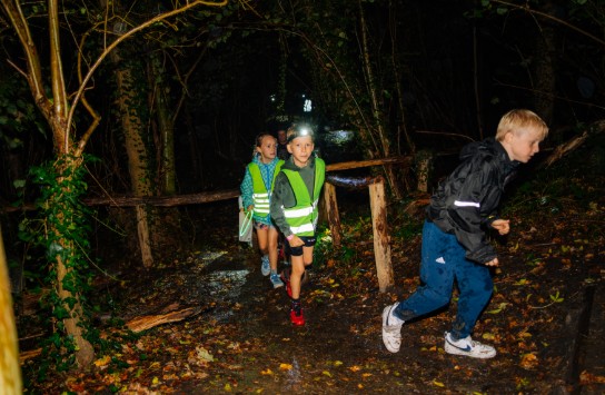  (vergroot foto)
