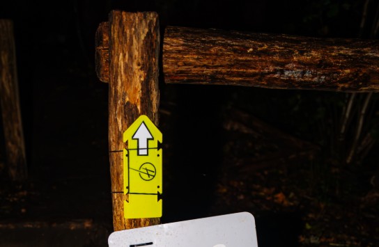  (vergroot foto)