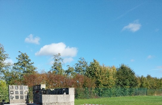 (vergroot foto)